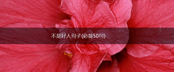 不是好人句子(必备50句),第1张 不是好人句子(必备50句),第1张
