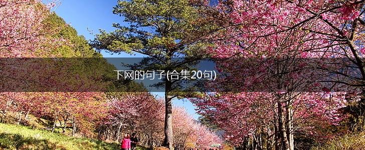 下网的句子(合集20句),第1张