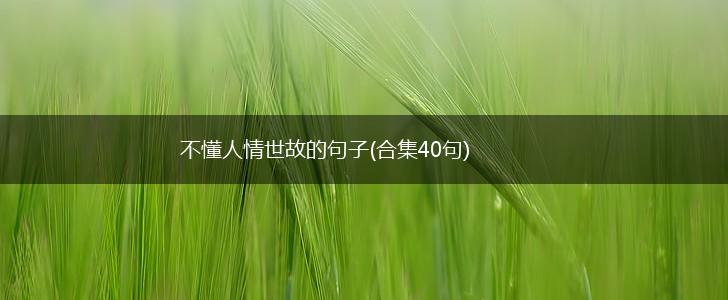 不懂人情世故的句子(合集40句),第1张