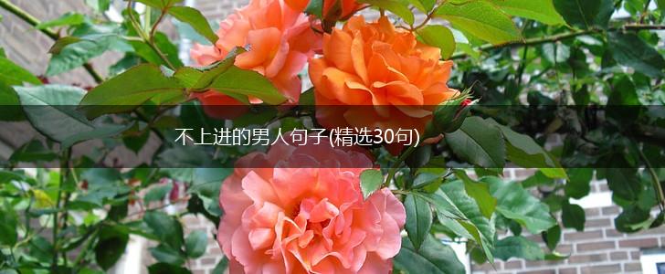 不上进的男人句子(精选30句),第1张