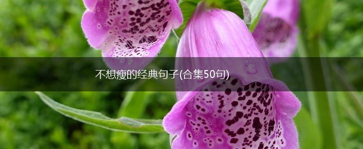 不想瘦的经典句子(合集50句),第1张