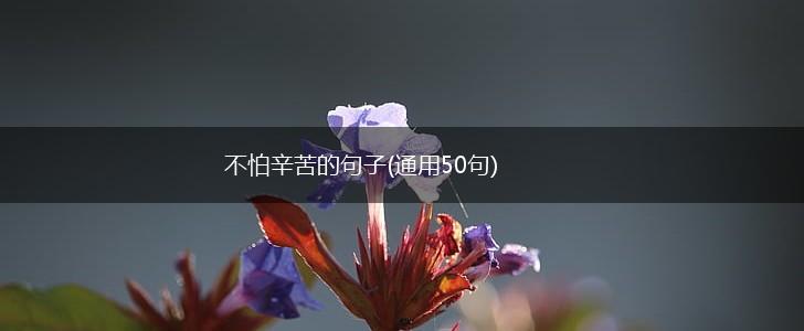 不怕辛苦的句子(通用50句),第1张