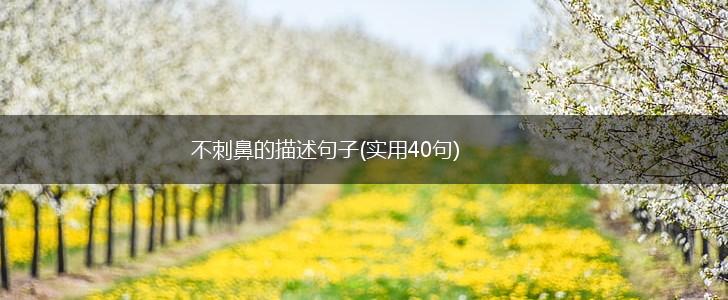 不刺鼻的描述句子(实用40句),第1张
