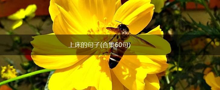 上床的句子(合集60句),第1张