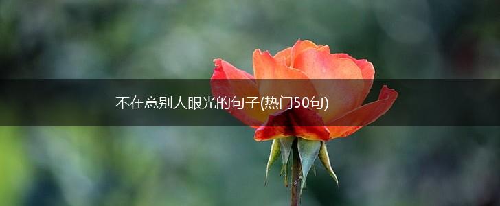 不在意别人眼光的句子(热门50句),第1张