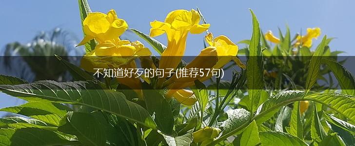 不知道好歹的句子(推荐57句),第1张
