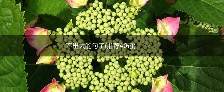 不出去的句子(推荐40句),第1张