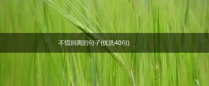 不惜别离的句子(优选40句),第1张