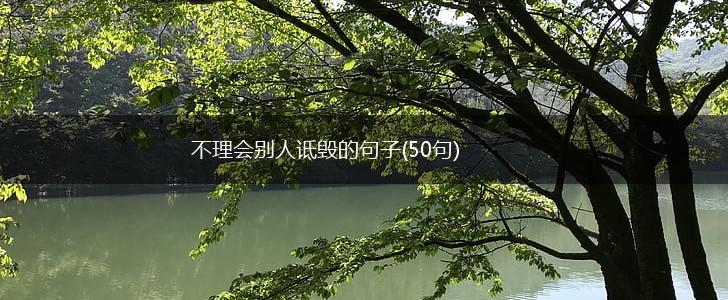 不理会别人诋毁的句子(50句),第1张