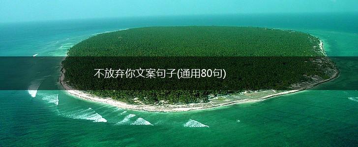不放弃你文案句子(通用80句),第1张
