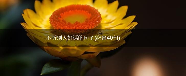 不听别人好话的句子(必备40句),第1张