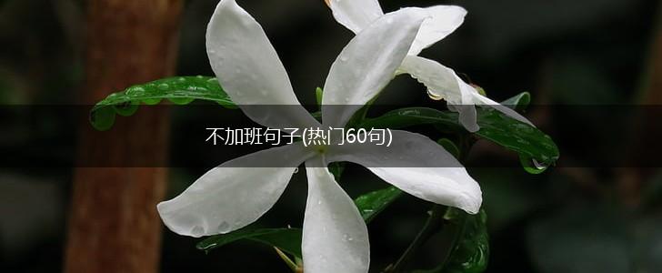 不加班句子(热门60句),第1张