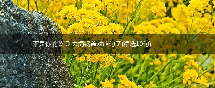 不是你的菜 别去揭锅盖对应句子(精选10句),第1张