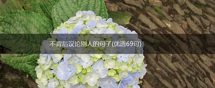 不背后议论别人的句子(优选69句),第1张