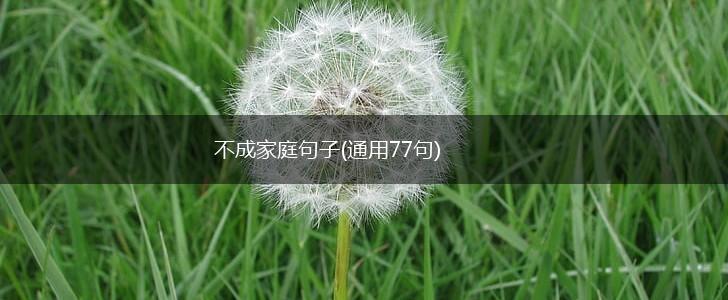 不成家庭句子(通用77句),第1张