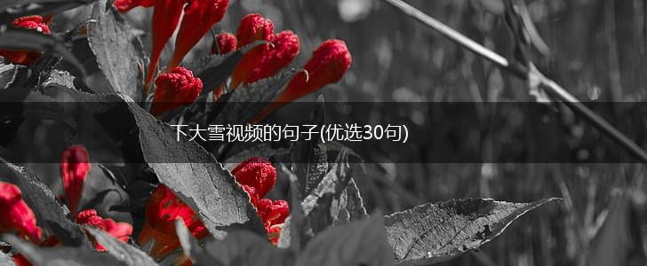 下大雪视频的句子(优选30句),第1张