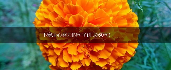 下定决心努力的句子(汇总60句),第1张