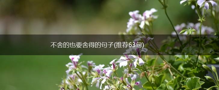不舍的也要舍得的句子(推荐63句),第1张
