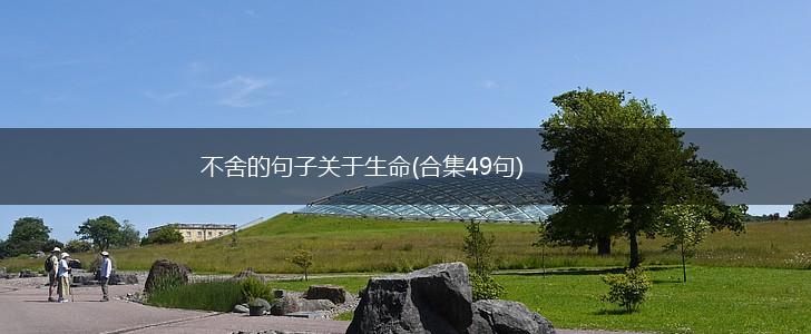 不舍的句子关于生命(合集49句),第1张