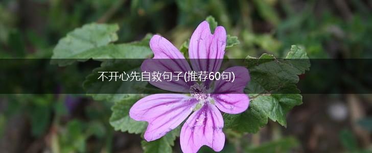 不开心先自救句子(推荐60句),第1张