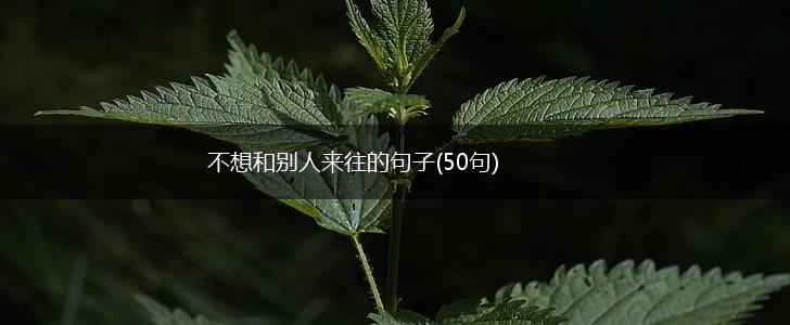 不想和别人来往的句子(50句),第1张 不想和别人来往的句子(50句),第1张