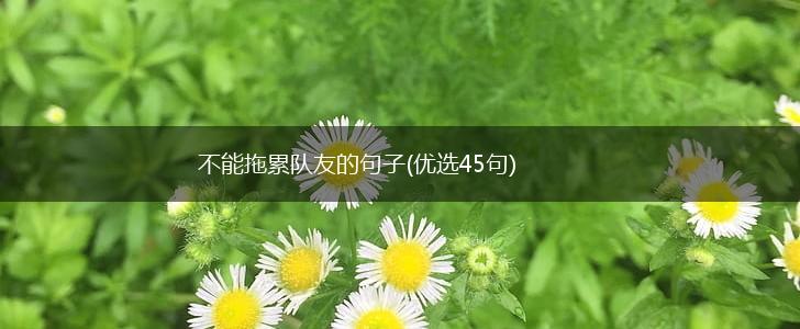 不能拖累队友的句子(优选45句),第1张