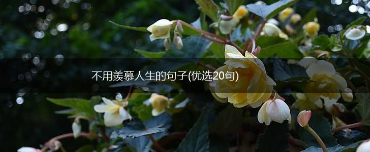 不用羡慕人生的句子(优选20句),第1张