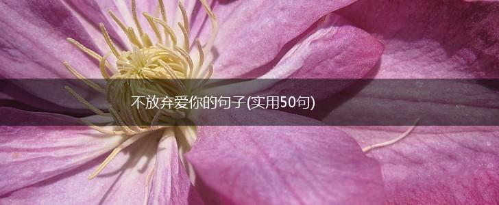 不放弃爱你的句子(实用50句),第1张
