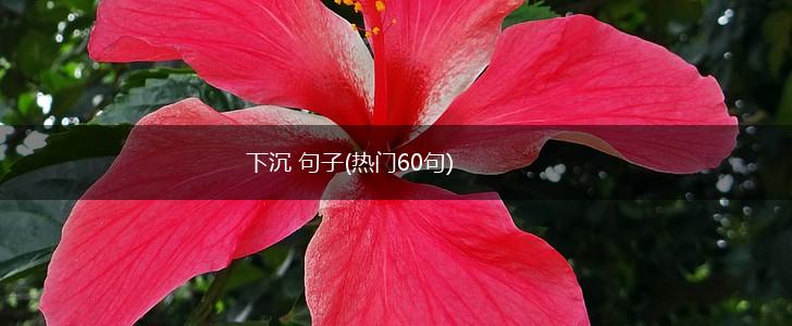 下沉 句子(热门60句),第1张