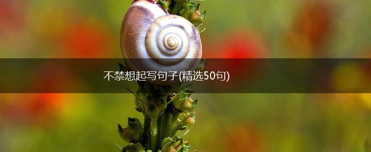 不禁想起写句子(精选50句),第1张