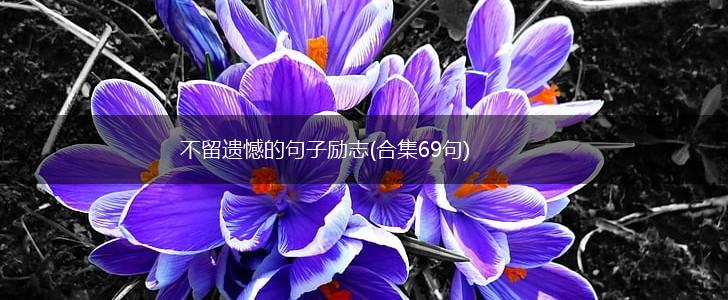 不留遗憾的句子励志(合集69句),第1张