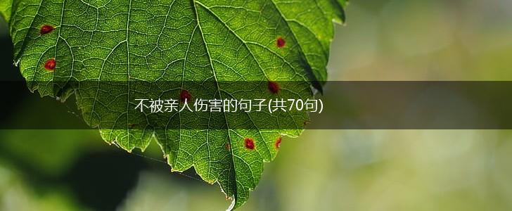 不被亲人伤害的句子(共70句),第1张