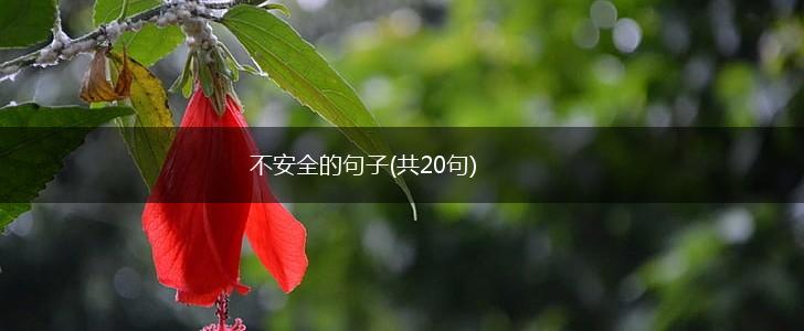 不安全的句子(共20句),第1张