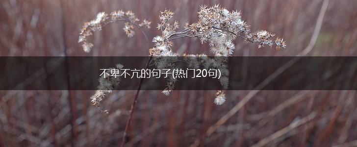 不卑不亢的句子(热门20句),第1张