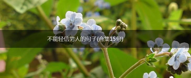 不能轻信男人的句子(合集15句),第1张