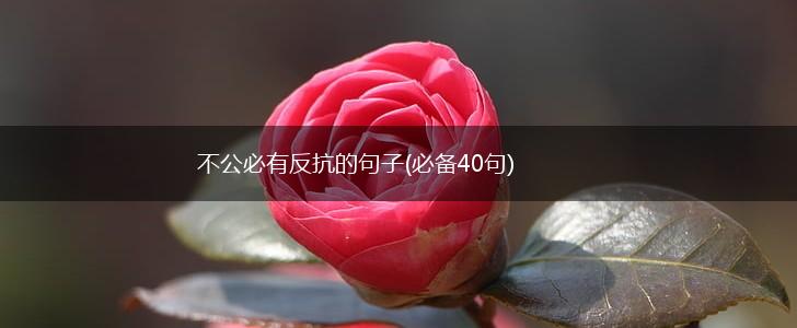 不公必有反抗的句子(必备40句),第1张