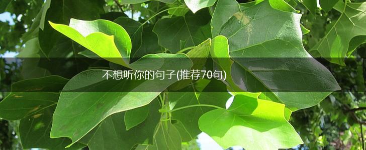 不想听你的句子(推荐70句),第1张