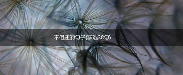 不但还的句子(精选38句),第1张