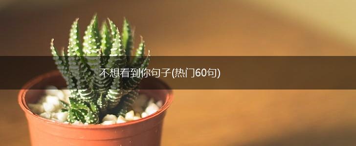 不想看到你句子(热门60句),第1张 不想看到你句子(热门60句),第1张