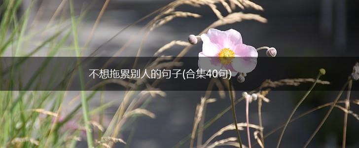 不想拖累别人的句子(合集40句),第1张