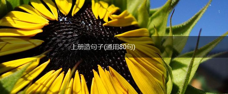 上册造句子(通用80句),第1张