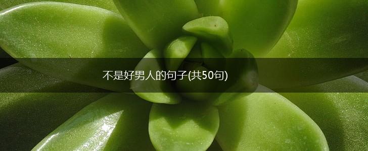 不是好男人的句子(共50句),第1张