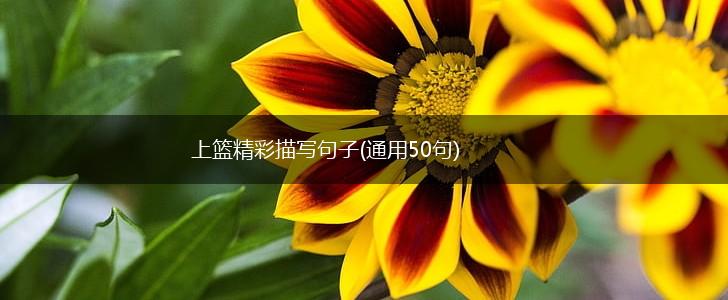 上篮精彩描写句子(通用50句),第1张