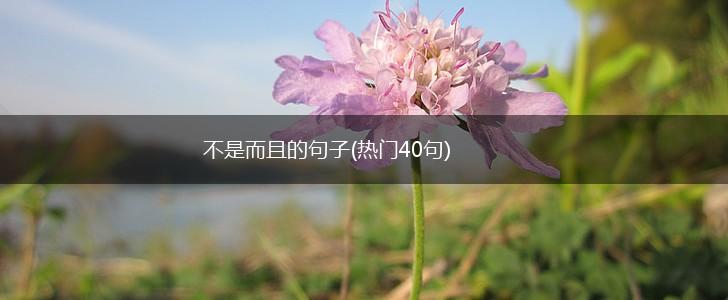 不是而且的句子(热门40句),第1张