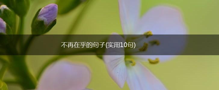 不再在乎的句子(实用10句),第1张