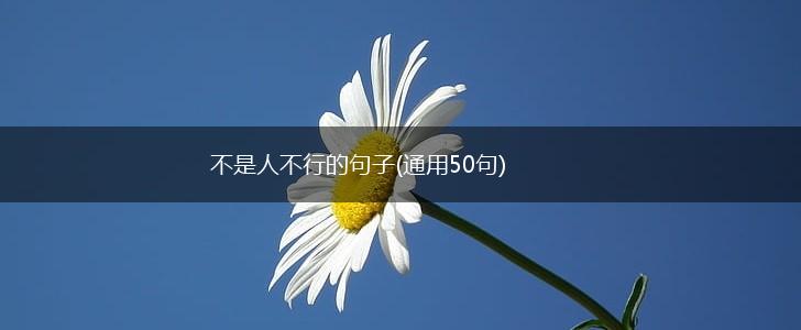 不是人不行的句子(通用50句),第1张