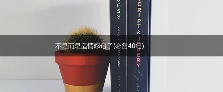 不是而是造情感句子(必备40句),第1张