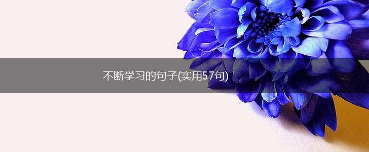 不断学习的句子(实用57句),第1张