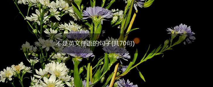 不是英文俚语的句子(共70句),第1张