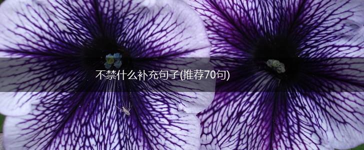 不禁什么补充句子(推荐70句),第1张
